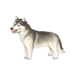 18" Husky Design