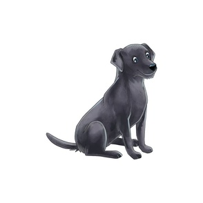 18" Black Labrador Design