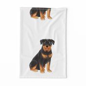 18" Rottweiler Design