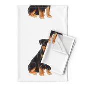 18" Rottweiler Design