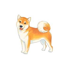 18" Shiba Inu Design