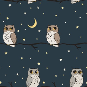 Nighttime owls