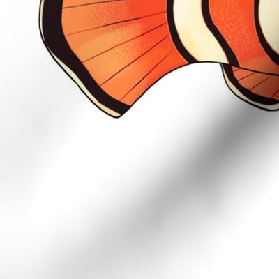 18" Clownfish Design