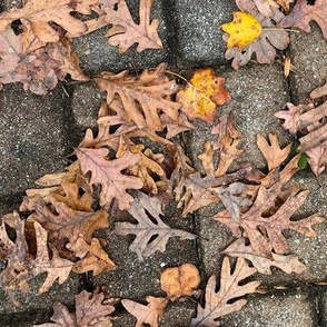 Oak Leaves On Pavers-LARGE-half-drop