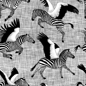 Black and White Zebrasus