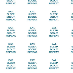 Eat Sleep Scout Repeat Mermaid Ocean Blue Glitter Color Text