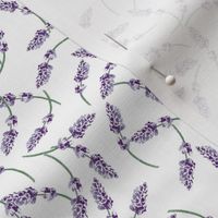 Lavender Potpourri