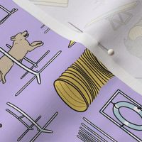 Small Simple multi colour Schipperke agility dogs - purple