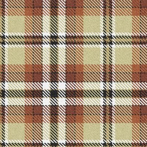 Fuzzy Look Brown and Beige Plaid