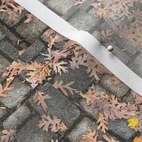 Oak Leaves On Pavers-SMALL-Half-Brick