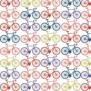 Colorful Parade of Bikes