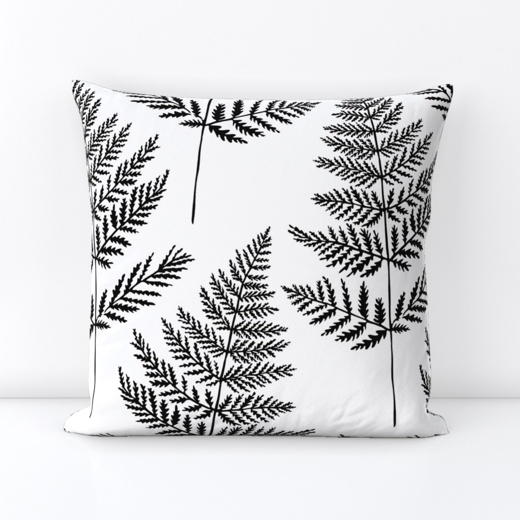 Jumbo Black&White Fern