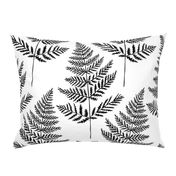 Jumbo Black&White Fern