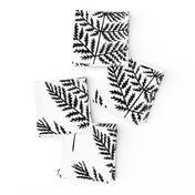 Jumbo Black&White Fern