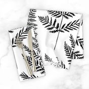 Jumbo Black&White Fern