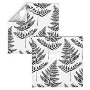 Jumbo Black&White Fern