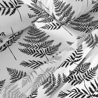 Jumbo Black&White Fern