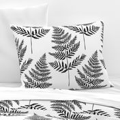 Jumbo Black&White Fern