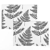 Jumbo Black&White Fern