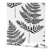 Jumbo Black&White Fern