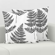 Jumbo Black&White Fern