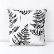 Jumbo Black&White Fern