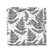 Jumbo Black&White Fern