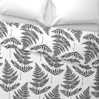 Jumbo Black&White Fern