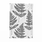 Jumbo Black&White Fern