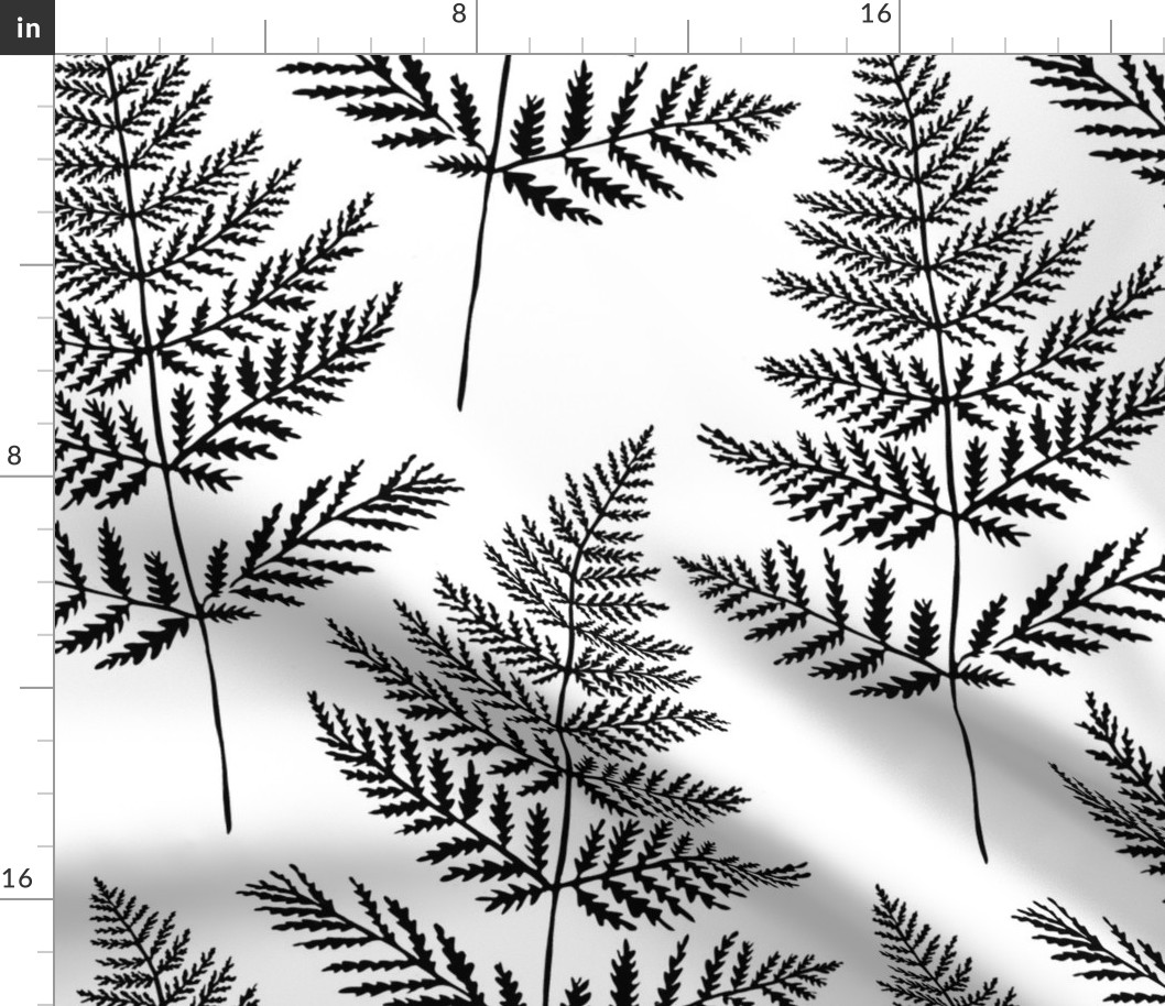 Jumbo Black&White Fern