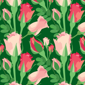 My Favorite Pink Roses on Green