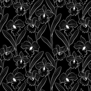 Flowers white sketch orchids on a black background