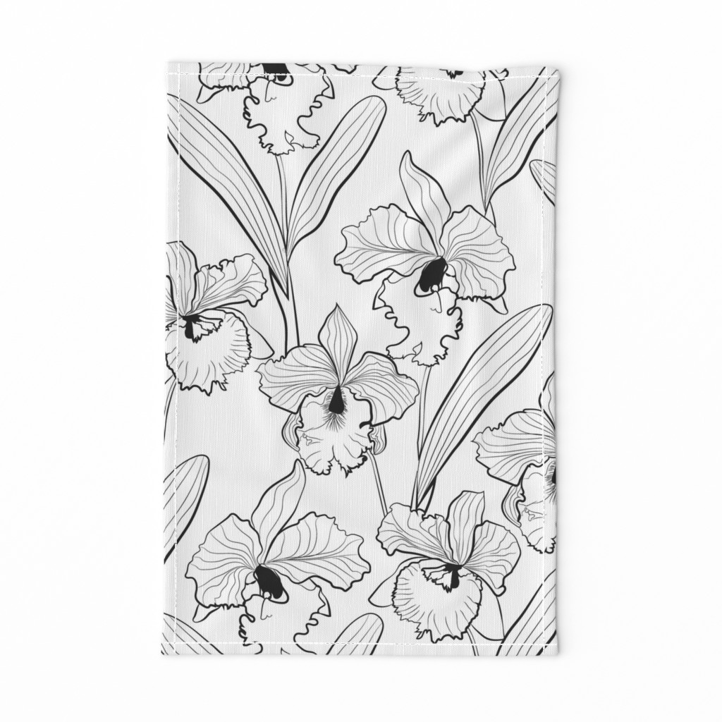 Delicate Orchid cattleya flowers leaves white black pattern