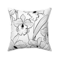 Delicate Orchid cattleya flowers leaves white black pattern