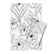 Delicate Orchid cattleya flowers leaves white black pattern