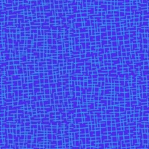  Sketchy Mesh of Summer Daze Blue on Fun Flare Blue - Medium Scale