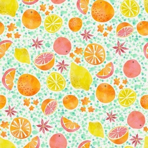 yummy citrus fruits in watercolor
