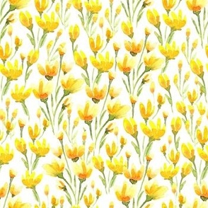 Yellow meadow flowers watercolor