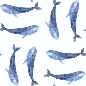 Blue whales on white in watercolor