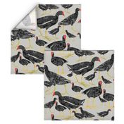 MUD HEN GRAY