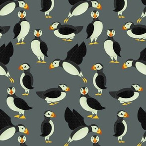 Puffins on Gray