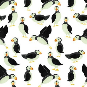 Puffins on White