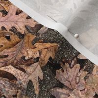 Oak Leaves On Pavers-LARGE-Half-Brick