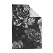 black and white large scale roses