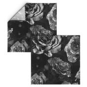 black and white large scale roses