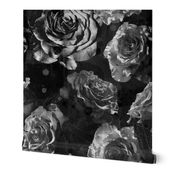 black and white large scale roses