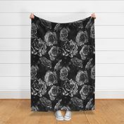 black and white large scale roses