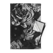 black and white large scale roses