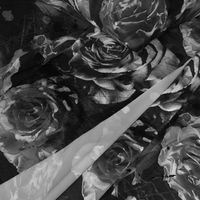 black and white large scale roses