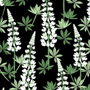 Lupine Fields - white black - extra large scale